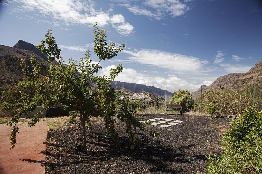 Ecotara Canary Islands Guest House Fátaga Cameră foto