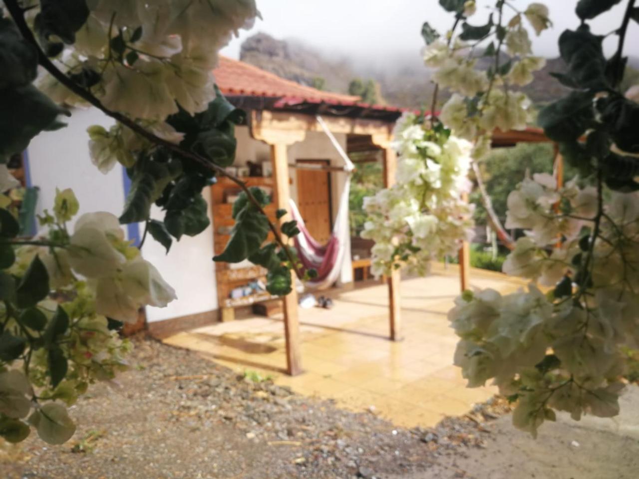 Ecotara Canary Islands Guest House Fátaga Exterior foto